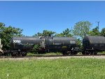 TCIX 175161